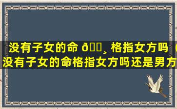 没有子女的命 🕸 格指女方吗（没有子女的命格指女方吗还是男方）